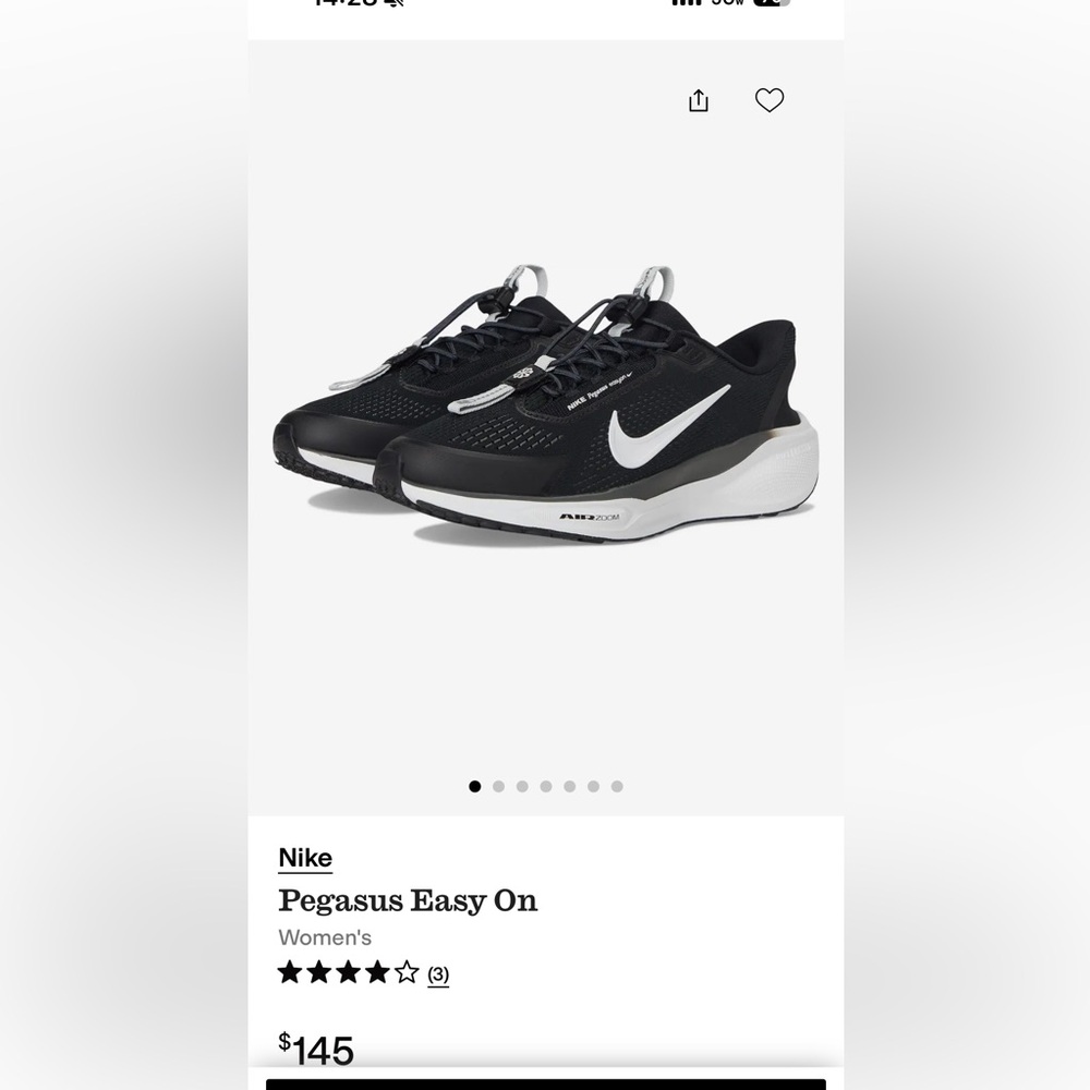 Nike Air Zoom Pegasus EasyOn